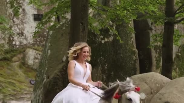 若い女性は 馬の岩や松林の近くに馬に乗ってトロッティングされます スローモーション 高品質のフルHd映像 — ストック動画