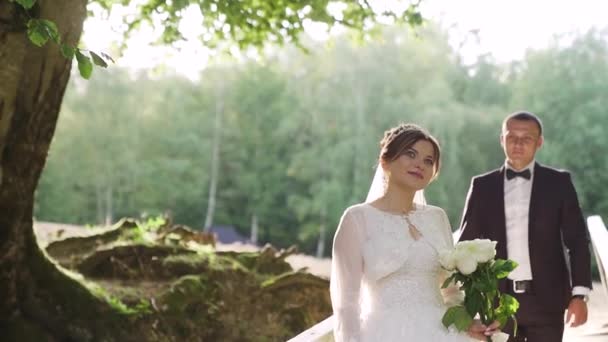 Bride Groom Wooden Bridge Forest High Quality Fullhd Footage — Stockvideo