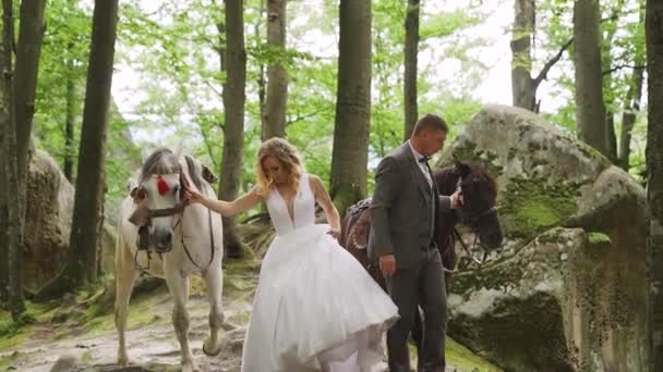 Couple Walk Leading Horses Reins Forest Sunny Day Princess Story — Stockvideo