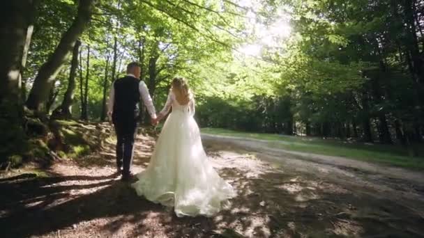 Majestic View Sun Glares Forest Beautyiful Newlyweds Walking Slow Motion — 비디오