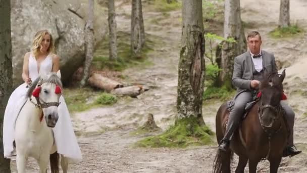People Driving Forest Woman Rides White Horse White Dress High — Vídeo de stock