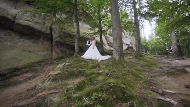 Majestosa Vista Sol Brilha Floresta Belos Recém Casados Estão Caminhando — Vídeo de Stock