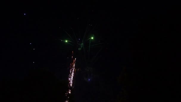 Astract Firework Footage Loopable Slow Motion High Quality Fullhd Footage — Stockvideo