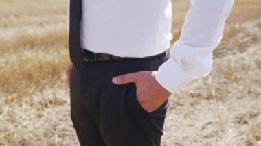 Buğday tarlasında bir iş adamı. Çiftçi ekilmiş mısır gevreğini inceliyor. Ağır çekim. Yüksek kaliteli FullHD görüntüler