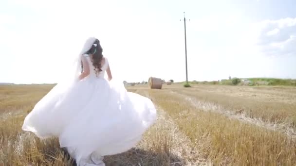Ευτυχισμένη Νεαρή Γυναίκα Λευκό Φόρεμα Τρέχει Στο Γήπεδο Σιτάρι Μεγαλοπρεπές — Αρχείο Βίντεο