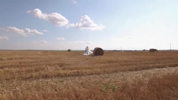 夏に収穫された畑を夫婦で散策しながら藁玉を持って歩きます 空中射撃だ 高品質4K映像 — ストック動画