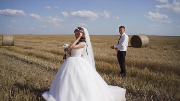 Szczęśliwi Nowożeńcy Trzymają Się Ręce Chodzą Polu Pszenicy Jarej Spowolnienie — Wideo stockowe