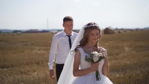 Los Recién Casados Felices Están Tomados Mano Caminando Campo Trigo — Vídeos de Stock