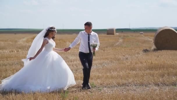 Szczęśliwi Nowożeńcy Trzymają Się Ręce Chodzą Polu Pszenicy Jarej Spowolnienie — Wideo stockowe