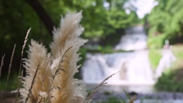 近くの滝の森の屋外の結婚式の会場の美しいボヘミアのアーチの装飾 夏の田舎の結婚式 高品質のフルHd映像 — ストック動画