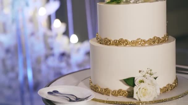 新婚夫妇把结婚蛋糕切了 新娘和新郎拿着一把刀 优质Fullhd影片 — 图库视频影像