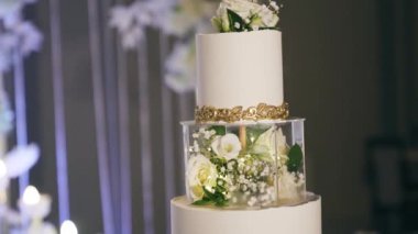 Yeni evliler düğün pastasını kesiyor, yakın plan. Gelin ve damat bıçak tutuyorlar. Yüksek kaliteli FullHD görüntüler