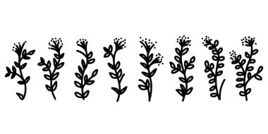 Elegant Leaf Outline Bundle Hand Drawn Botanical Vectors for Stock Graphics
