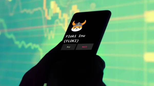 一位投资者正在分析银幕上的浮冰印尼盾 Floki 一部电话显示密码的投资价格 — 图库照片