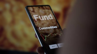 Bir yatırımcı ekrandaki emtia fonunu analiz ediyor. Bir telefon ETF mallarının fiyatlarını gösterir.