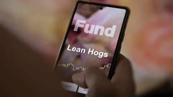 一个投资者正在屏幕上分析瘦小的猪等基金 手机显示瘦猪的价格 — 图库照片
