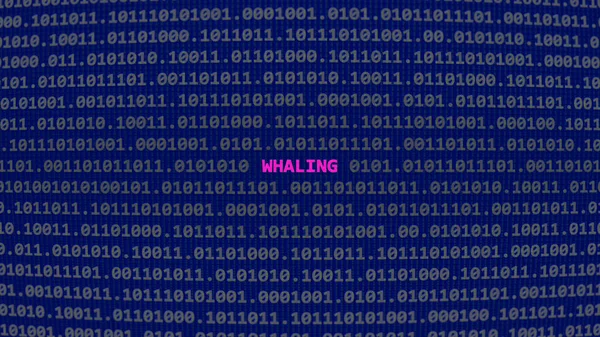 Cyberaanval Walvisvangst Kwetsbaarheidstekst Binaire Systeem Ascii Kunst Stijl Code Editor — Stockfoto