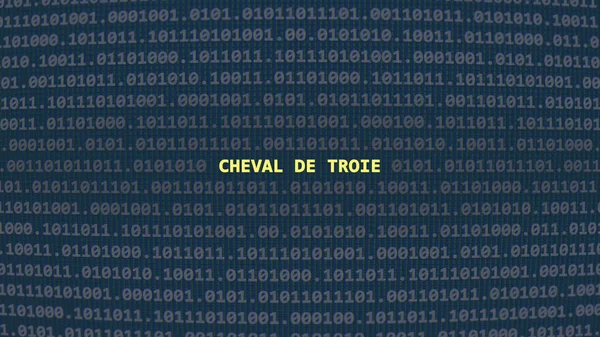 Cyber attack. Translation: trojan horse. Vulnerability text in binary system ascii art style, code on editor screen.,French language,text in French