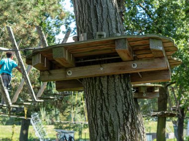 Ağaca tırmanmak ve spor yapmak için bir ağaç tepesi parkında ip köprüsü. Halat kursunda ağaca tırmanmak, kablolar, fermuarlar, ormandaki açık hava parkı..