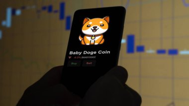 19 Eylül 2023. Bebek Doge Coin 'in fiyatını analiz eden bir yatırımcı, kripto $BABYDOGE limitin üzerinde patlak verdi ve fiyatın üstüne çıktı..
