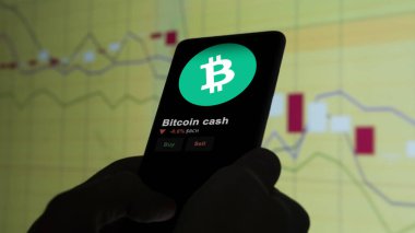 19 Eylül 2023. Bitcoin nakitinin fiyatını analiz eden bir yatırımcı, kripto $BCH limitin üzerine çıktı ve fiyatın üstüne çıktı..