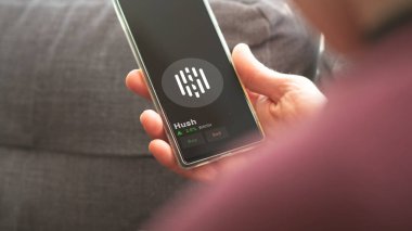 19 Eylül 2023. Hush 'un fiyatını analiz eden bir yatırımcı, kripto $HUSH limitin üzerine çıktı, HUSH ve fiyatın üstüne çıktı..