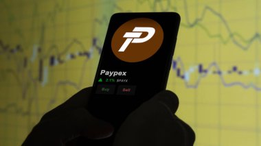 19 Eylül 2023. Paypex 'in fiyatını analiz eden bir yatırımcı, kripto $PAYX limitin üzerine çıktı ve fiyatın üstüne çıktı..