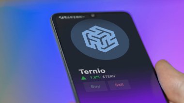 19 Eylül 2023. Ternio 'nun fiyatını analiz eden bir yatırımcı, TERN limitinin üzerine çıktı ve fiyatın üstüne çıktı..