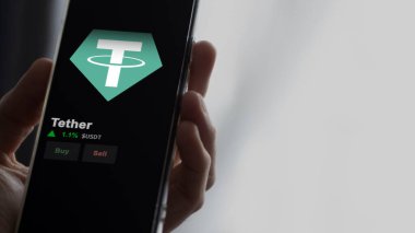 19 Eylül 2023. Bağın fiyatını analiz eden bir yatırımcı, USDT limitinin üzerine çıktı ve fiyatın üstüne çıktı..