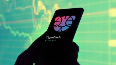 19 Eylül 2023. TigerCash 'in fiyatını analiz eden bir yatırımcı, kripto $TCH limitin üzerine çıktı ve fiyatın üstüne çıktı..