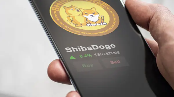 stock image September 19th 2023. An investor analyzing the price of ShibaDoge, the crypto $SHIBDOGE broke out above the limit, SHIBDOGE and climbs above the price.