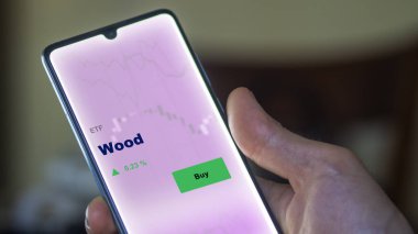 Bir yatırımcı ekrandaki odun fonunu analiz ediyor. Bir telefon ahşap fiyatlarını gösterir