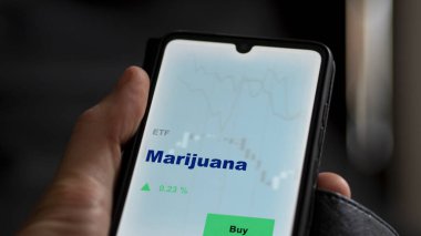 Marihuana fonunu ekranda analiz eden bir yatırımcı. Bir telefon marihuananın fiyatlarını gösterir