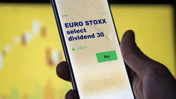 Een Investeerder Die Euro Stoxx Analyseert Selecteert Dividend Etf Fonds — Stockfoto