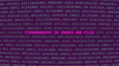 Cyber attack steganography in images and files. Vulnerability text in binary system ascii art style, code on editor screen. Text in English, English text clipart