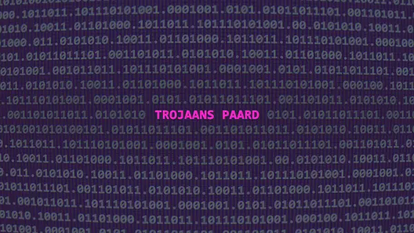 Cyber attack. Translation: trojan horse. Vulnerability text in binary system ascii art style, code on editor screen.,Dutch language,text in Dutch