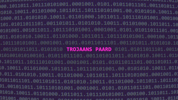 Кибератака. Перевод: троянский конь. Текст уязвимости в бинарной системе ascii art style, код на экране редактора., голландский язык, текст на голландском языке