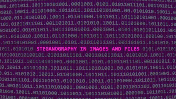 stock image Cyber attack steganography in images and files. Vulnerability text in binary system ascii art style, code on editor screen. Text in English, English text