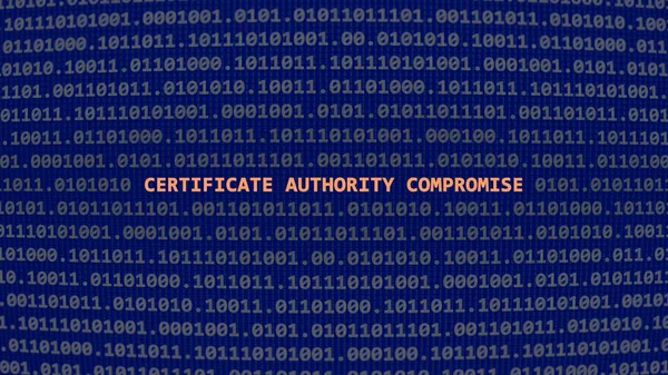 Compromiso Autoridad Certificado Ciberataque Texto Vulnerabilidad Estilo Arte Ascii Sistema — Foto de Stock