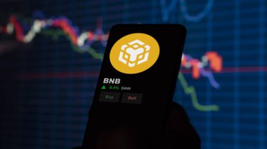 24 Kasım 2023. Bir telefon üzerinden BNB 'nin fiyatını analiz eden bir yatırımcı. Kripto takası için BNB dolar..