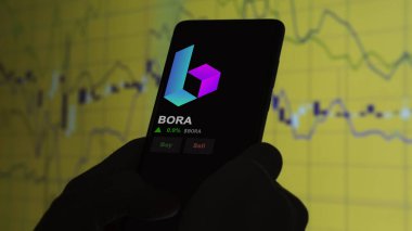 24 Kasım 2023. Bir telefondaki BORA 'nın fiyatını analiz eden bir yatırımcı. Kripto takası için BORA dolar..