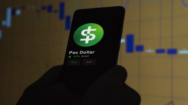 24 Kasım 2023. Telefondaki Pax Doları 'nın fiyatını analiz eden bir yatırımcı. Şifreli bir değiş tokuş için USDP dolar..