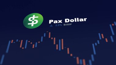 5 Aralık 2023. Telefondaki Pax Doları 'nın fiyatını analiz eden bir yatırımcı. Şifreli bir değiş tokuş için USDP dolar..