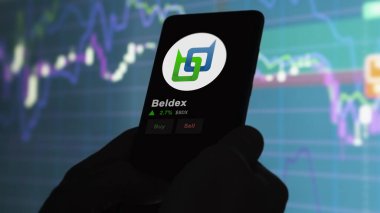 Telefondaki Beldex 'in fiyatını analiz eden bir yatırımcı. Şifreli bir değiş tokuş için BDX $.