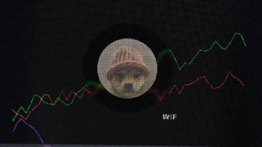 15 Mart 2024, Kripto takas ekranı köpek eşi jetonu, WIF madeni parasına odaklandı..