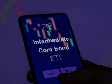 Bir yatırımcı ekranda orta ölçekli tahvil fonunu analiz ediyor. Bir telefon Orta Çekirdek Bond 'un fiyatlarını gösterir