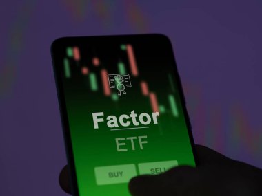 Ekranda etf fonunu analiz eden bir yatırımcı. Faktör fiyatlarını gösteren bir telefon