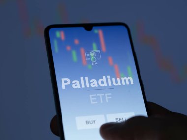 Ekrandaki paladyum etf fonunu analiz eden bir yatırımcı. Palladium 'un fiyatlarını gösteren bir telefon