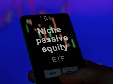 Ekrandaki pasif sermaye fonunu analiz eden bir yatırımcı. Bir telefon Niche 'nin pasif sermaye fiyatlarını gösterir