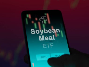 Ekranda soya fasulyesi fonunu analiz eden bir yatırımcı. Bir telefon, soya fasulyesi menüsünün fiyatlarını gösteriyor.
